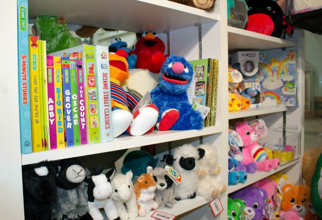 SKS-shelf-of-toys1-scaled.jpg
