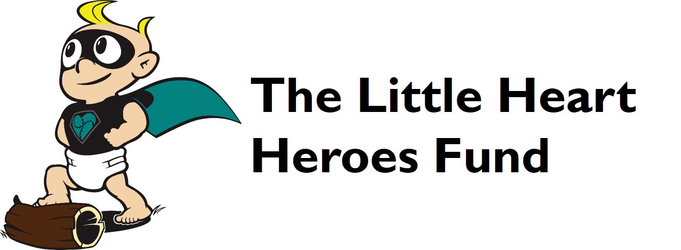 little-heart-heroes-fund
