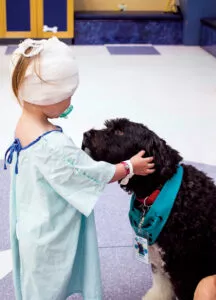 stollery kid petting dog in hospital gown